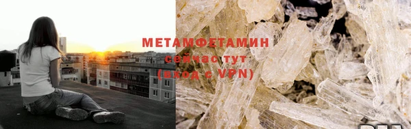 прущие грибы Аркадак