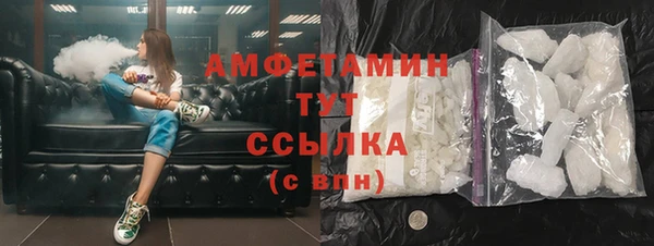 прущие грибы Аркадак