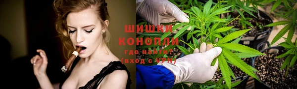 прущие грибы Аркадак