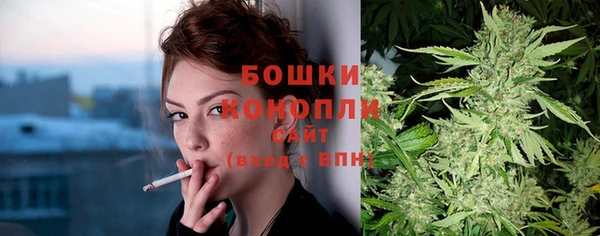 эйфоретик Арсеньев