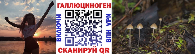 Псилоцибиновые грибы Psilocybine cubensis  Сосновоборск 