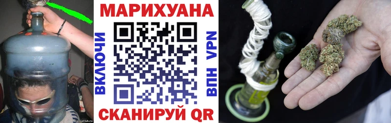 где можно купить Сосновоборск Канабис семена